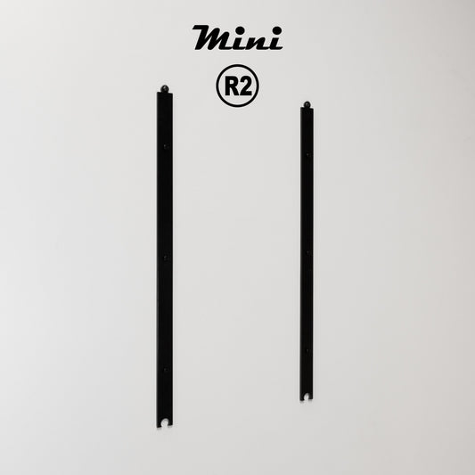 Mini-R2
